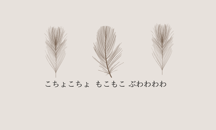 【雑誌】こちょこちょ もこもこ ふわわわわ